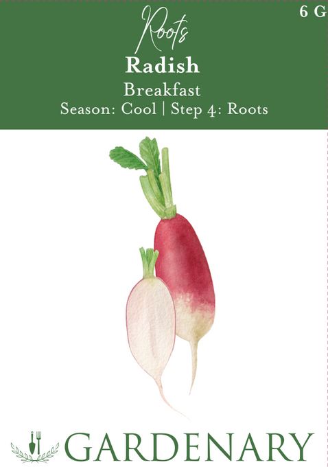 French Breakfast Radish Seeds