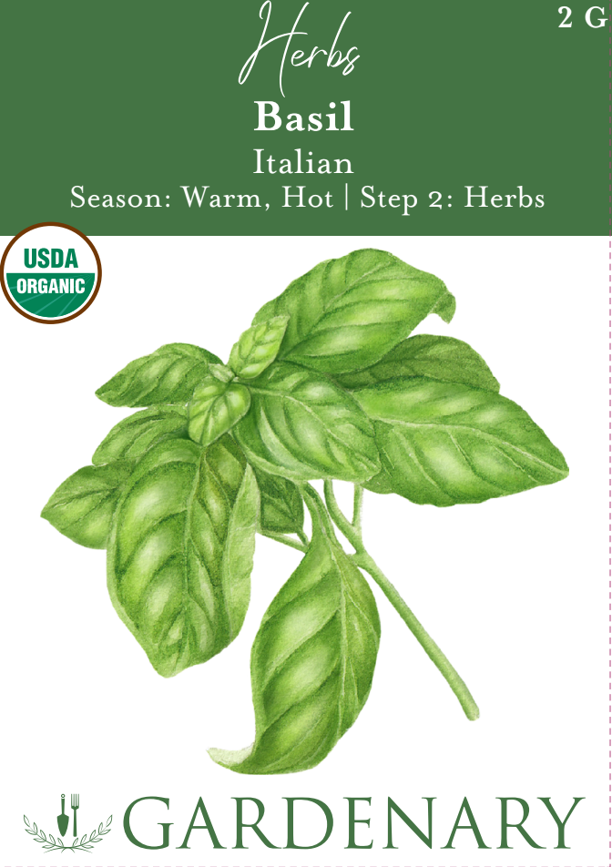 Basil Seeds