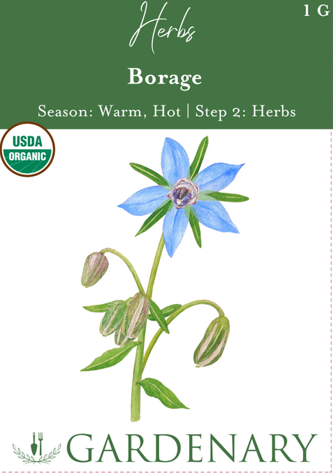 Borage Seeds