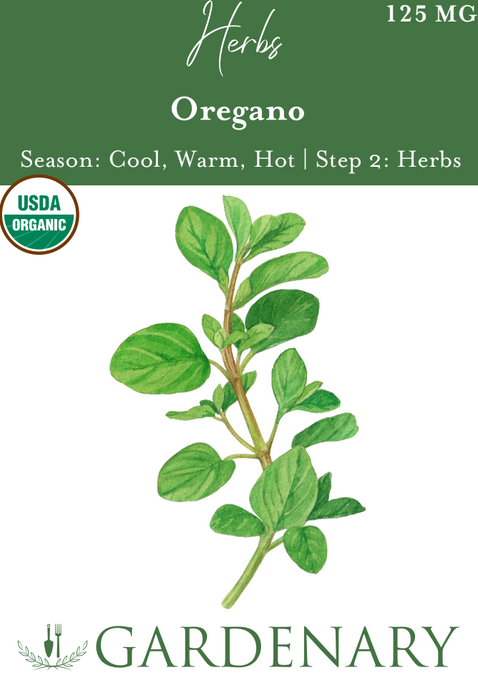 Oregano Seeds