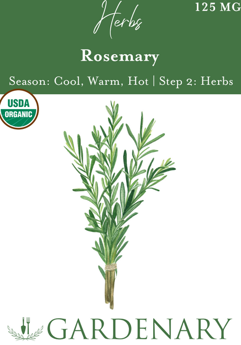 Rosemary Seeds