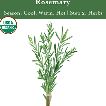 Rosemary Seeds