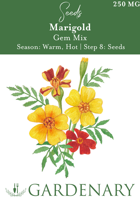 Gem Mix Marigold Seeds