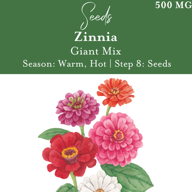 Giant Mix Zinnia Seeds