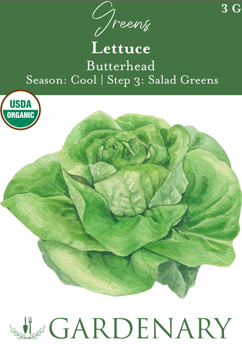 Butterhead Lettuce Seeds