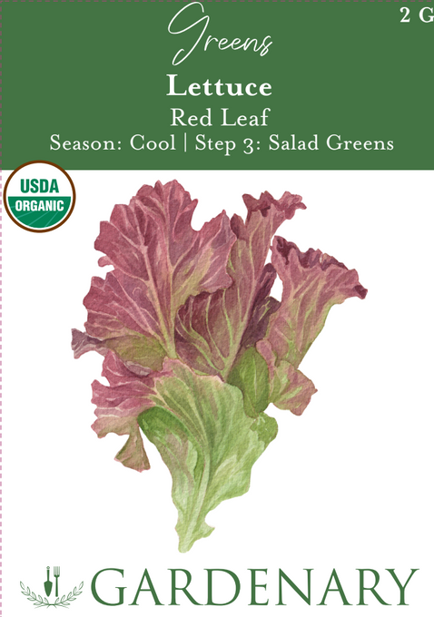 Red Leaf Lettuce Seeds