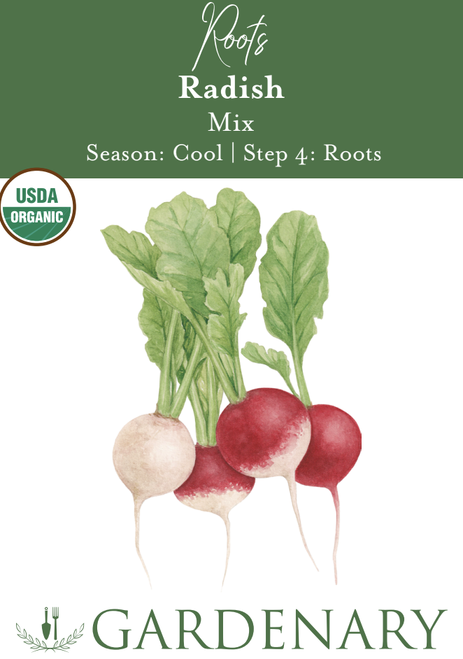 Confetti Mix Radish Seeds