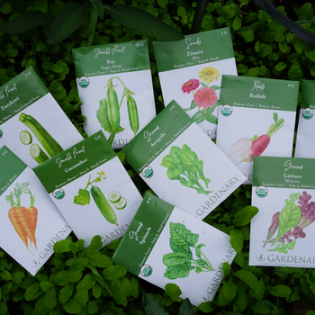 Beginner Gardener Seeds