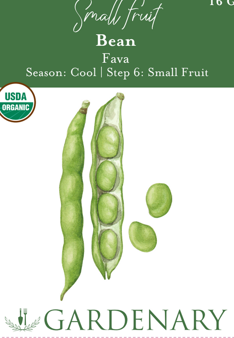 Fava Bean Seeds