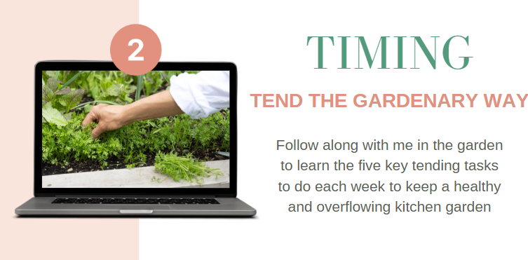 Kitchen Garden Academy Course