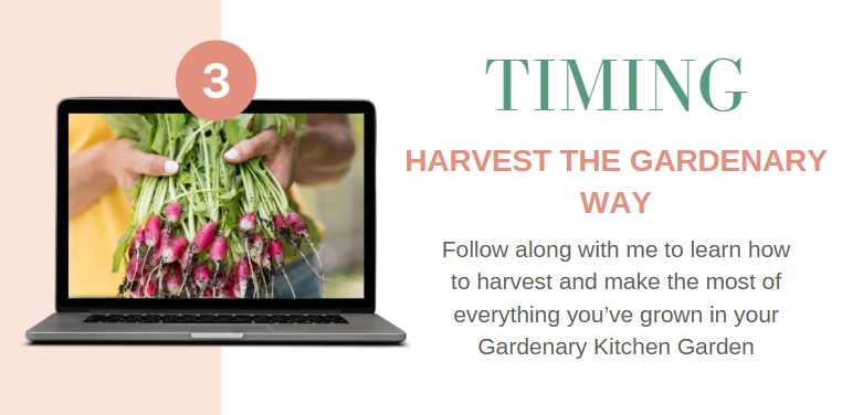 Kitchen Garden Academy Course