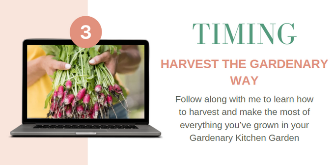 Kitchen Garden Academy Course