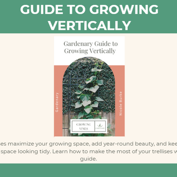 Gardenary Guide to Vertical Growing Ebook