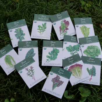 Salad Garden Seed Collection