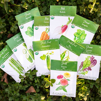 Membership Seeds