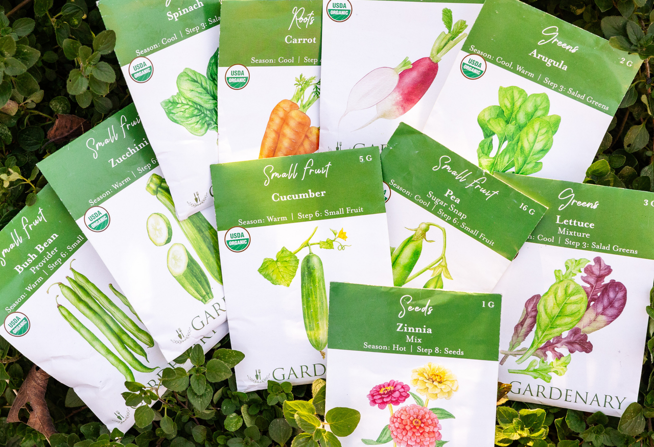 Membership Seeds