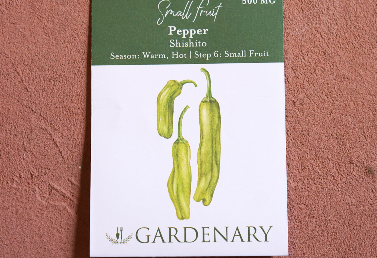 Shishito Pepper Seeds