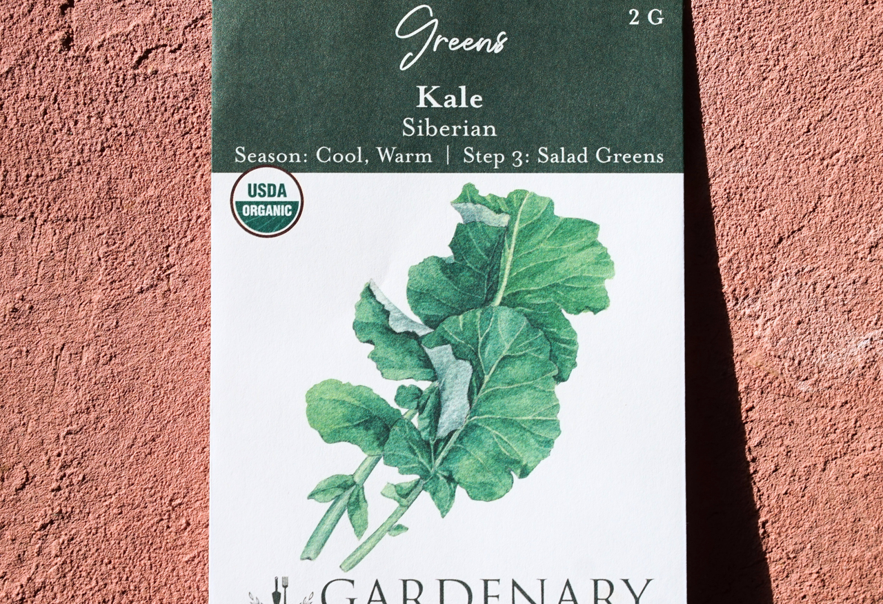 Salad Garden Seed Collection
