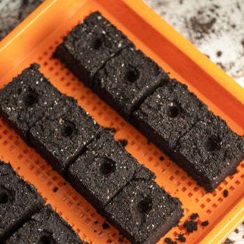 Extra-Strength 1020 Mesh Grow Trays (1" Shallow, Color Collection)