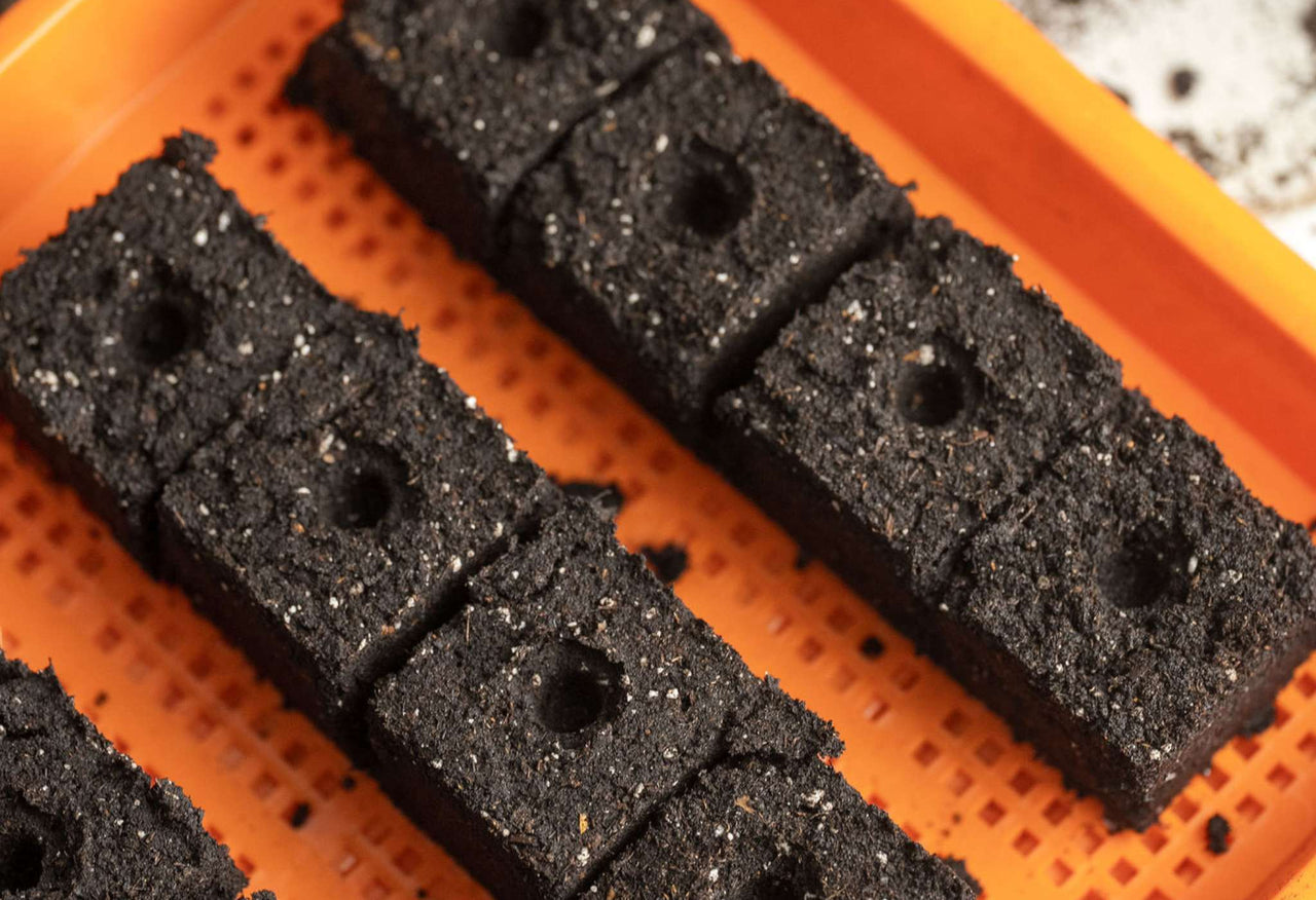 Extra-Strength 1020 Mesh Grow Trays (1" Shallow, Color Collection)