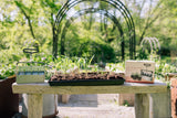🎁 Gardenary Soil Blocker (100% off)