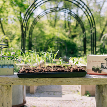 Gardenary Soil Blocker
