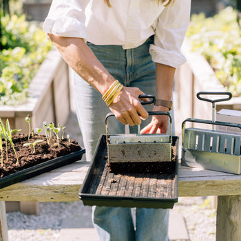 Garden Starter Bundle