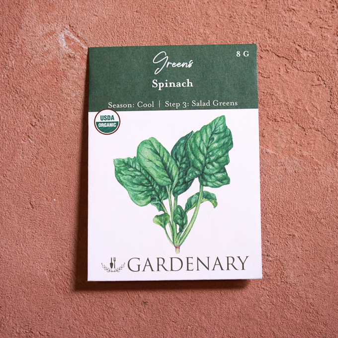 Salad Garden Seed Collection
