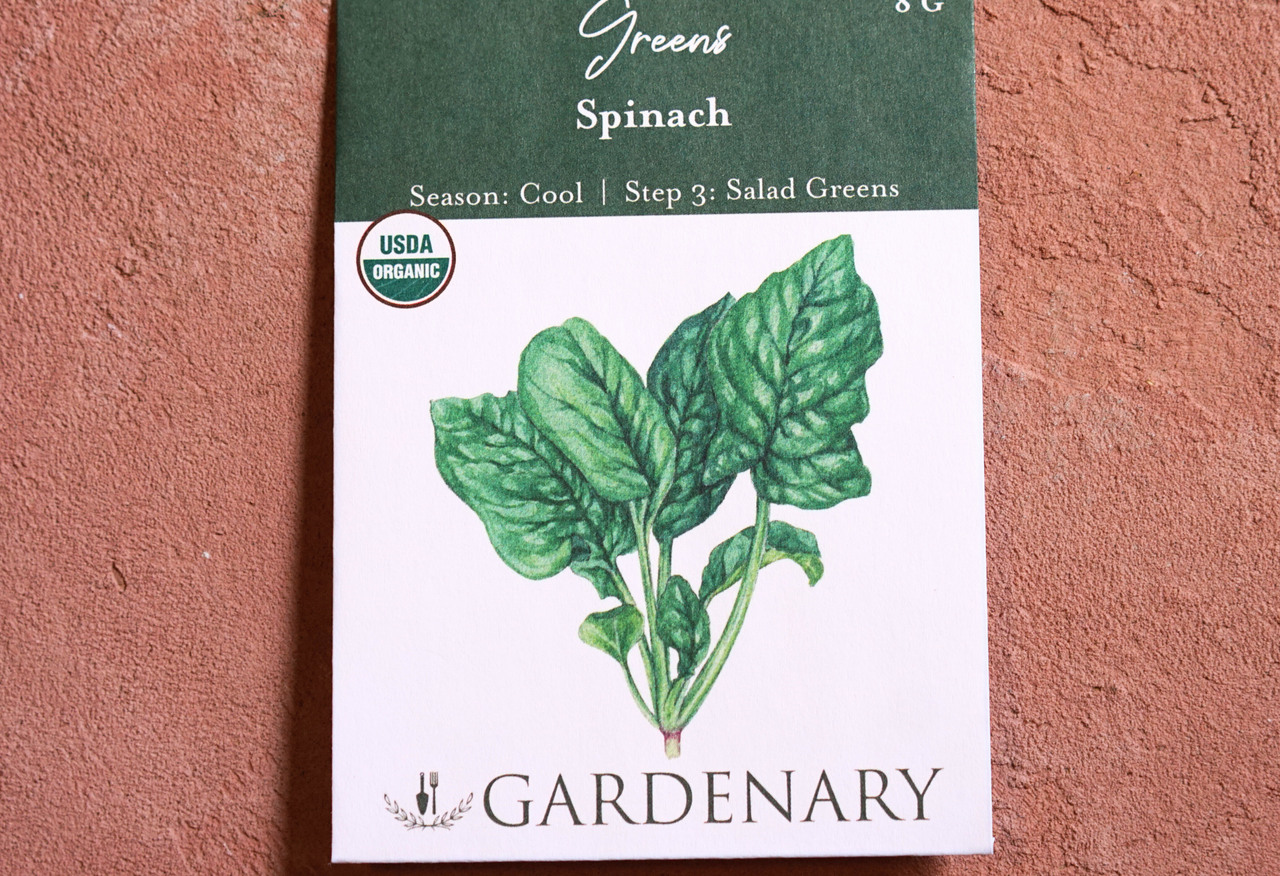 Spinach Seeds