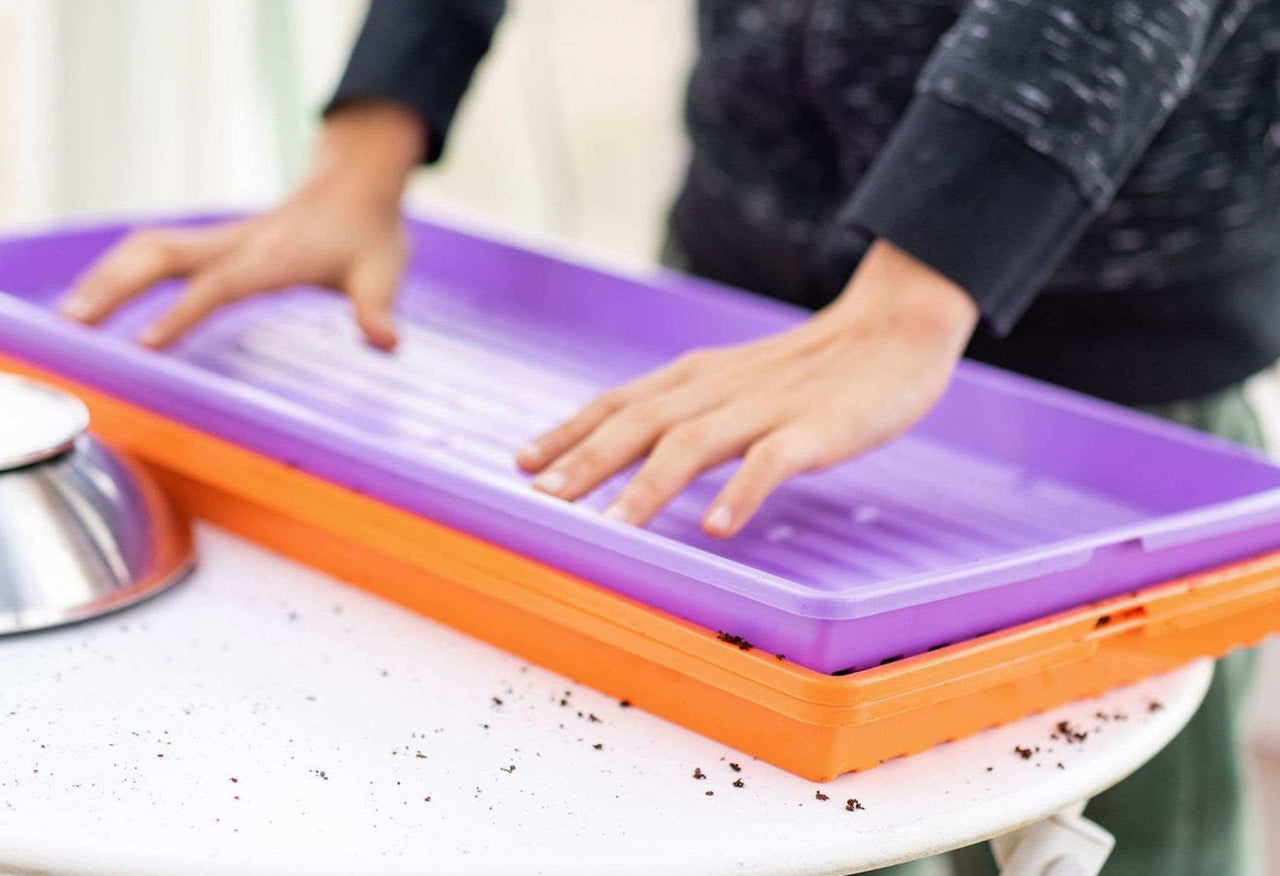 Extra-Strength 1020 Shallow Microgreen Trays (Color Collection)