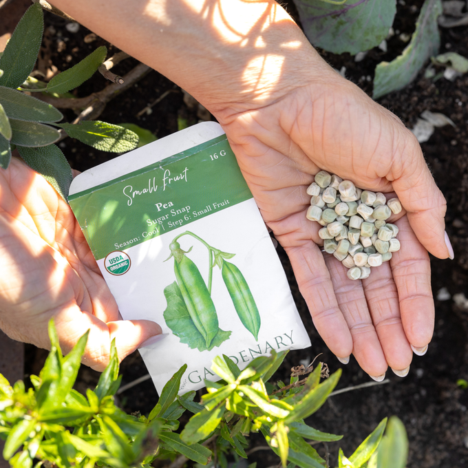 Sugar Snap Pea Seeds