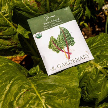 Swiss Chard Seeds