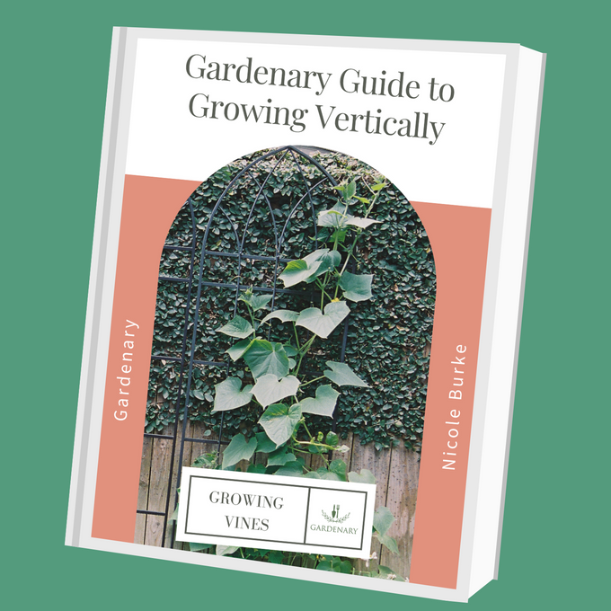 Gardenary Guide to Vertical Growing Ebook