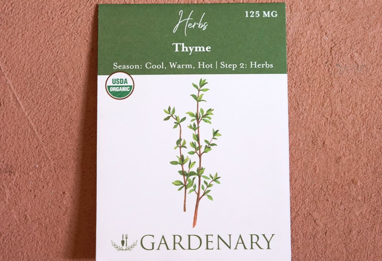 Thyme Seeds