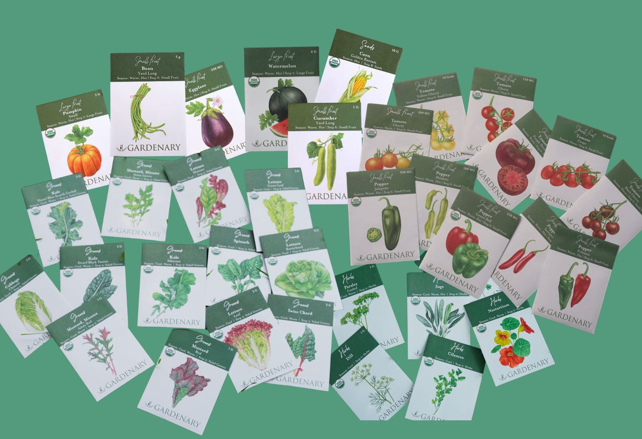 The Ultimate Seed System Blowout Sale