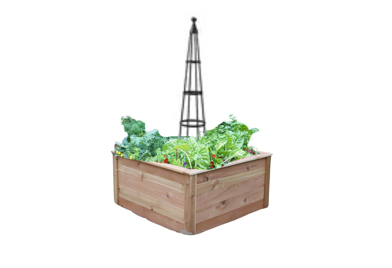 Standard Square Raised Kitchen Garden Package