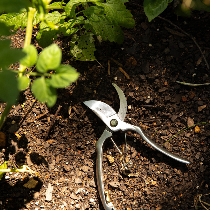Stainless and Brass Bypass Pruners