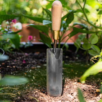 Stainless and Brass Long Thin Trowel