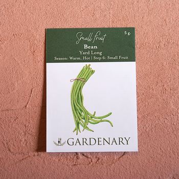 Yard Long Pole Bean Seeds