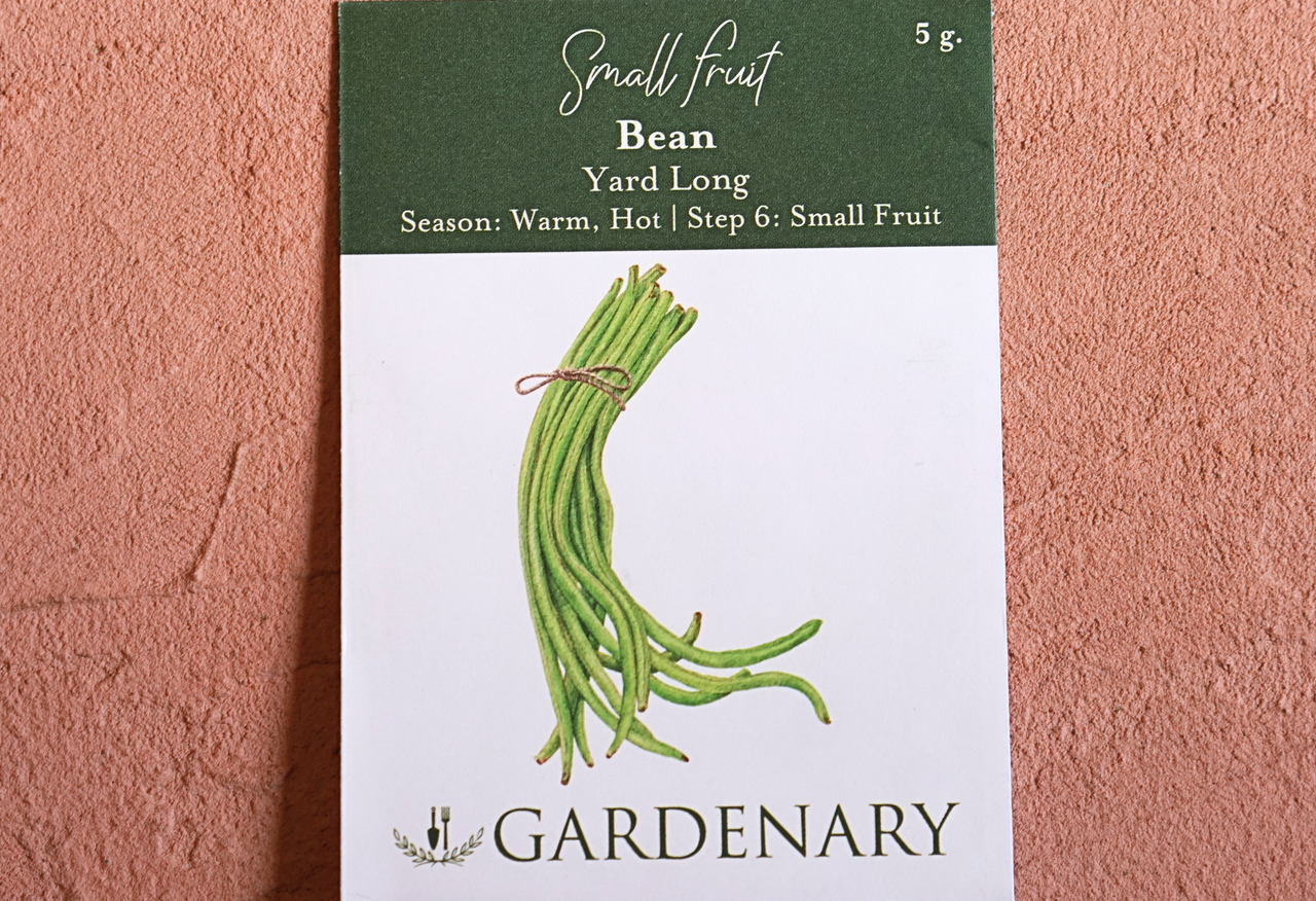 Yard Long Pole Bean Seeds