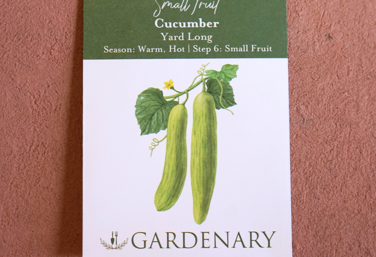 Yard Long Cucumber Seeds