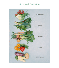 A size and duration chart showing different vegetable sizes labeled Extra Small, Small, Medium, Large, and Extra Large, arranged vertically on a light blue-gray background with the heading 'Size and Duration' at the top.