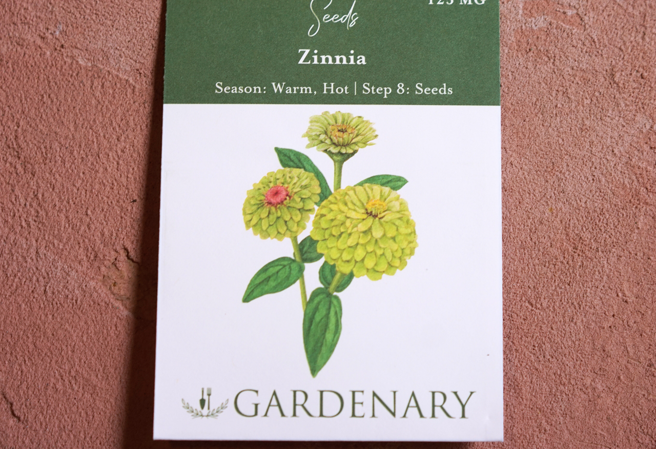 Lime Blush Zinnia Seeds