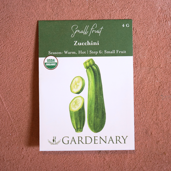 Zucchini Seeds