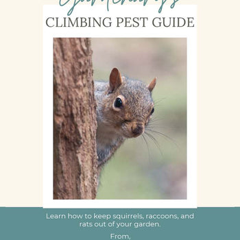 Climbing Pests Booklet