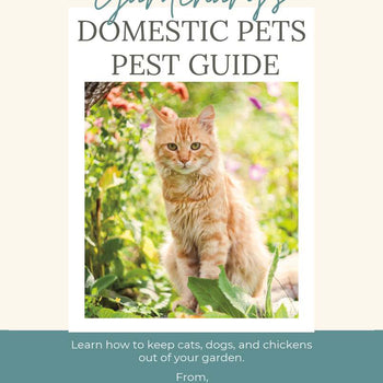 Domestic Pests Booklet