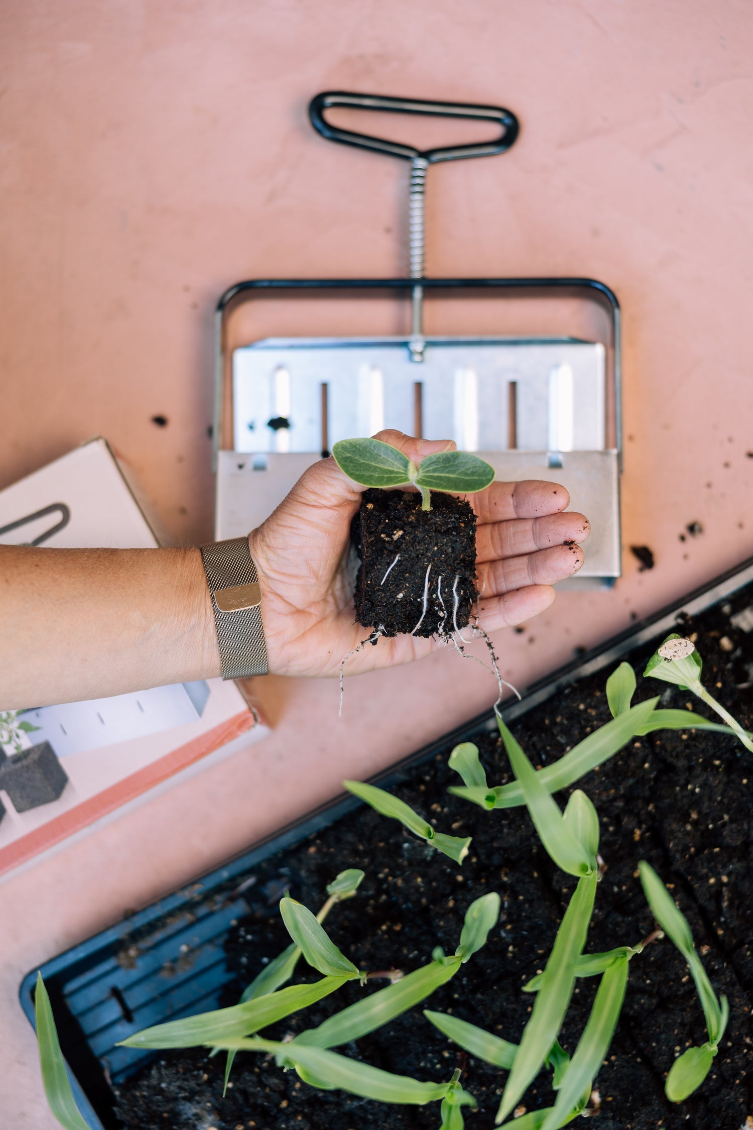 Gardenary Soil Blocker