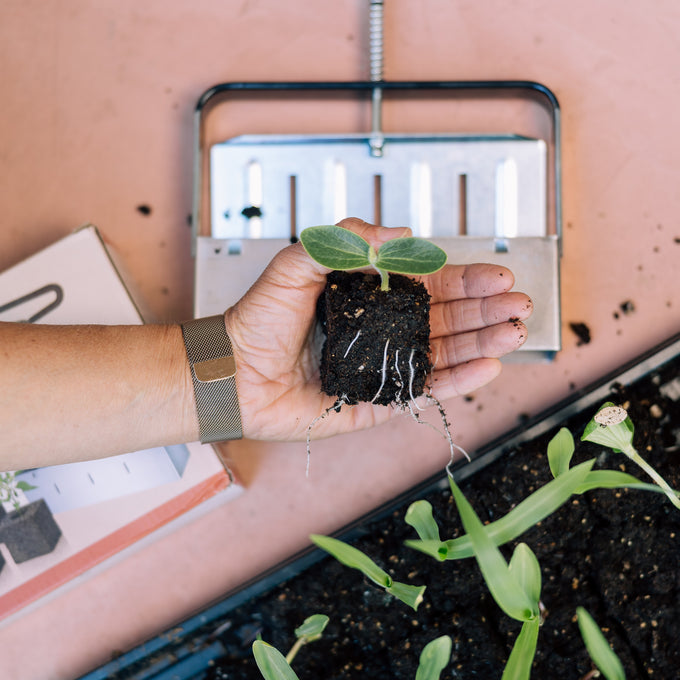 Garden Starter Bundle
