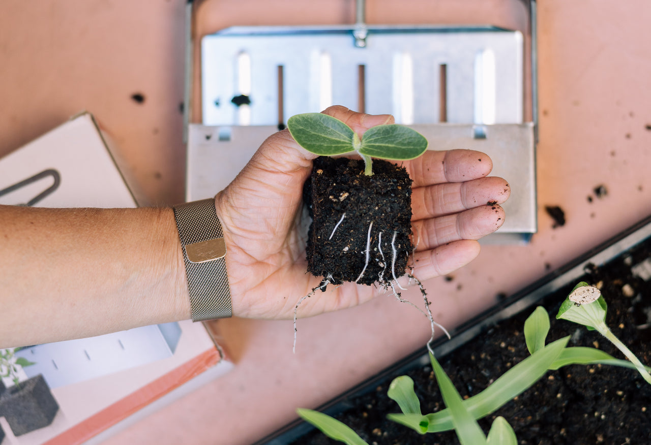 Gardenary Soil Blocker