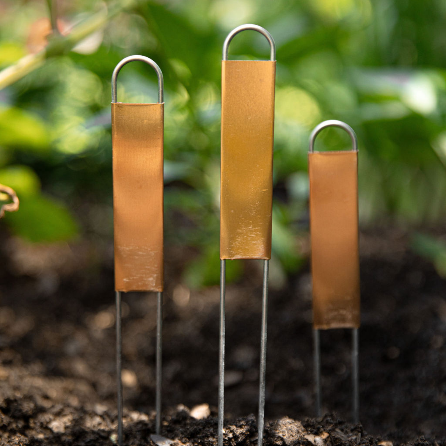Copper Hairpin Plant Labels (12”)